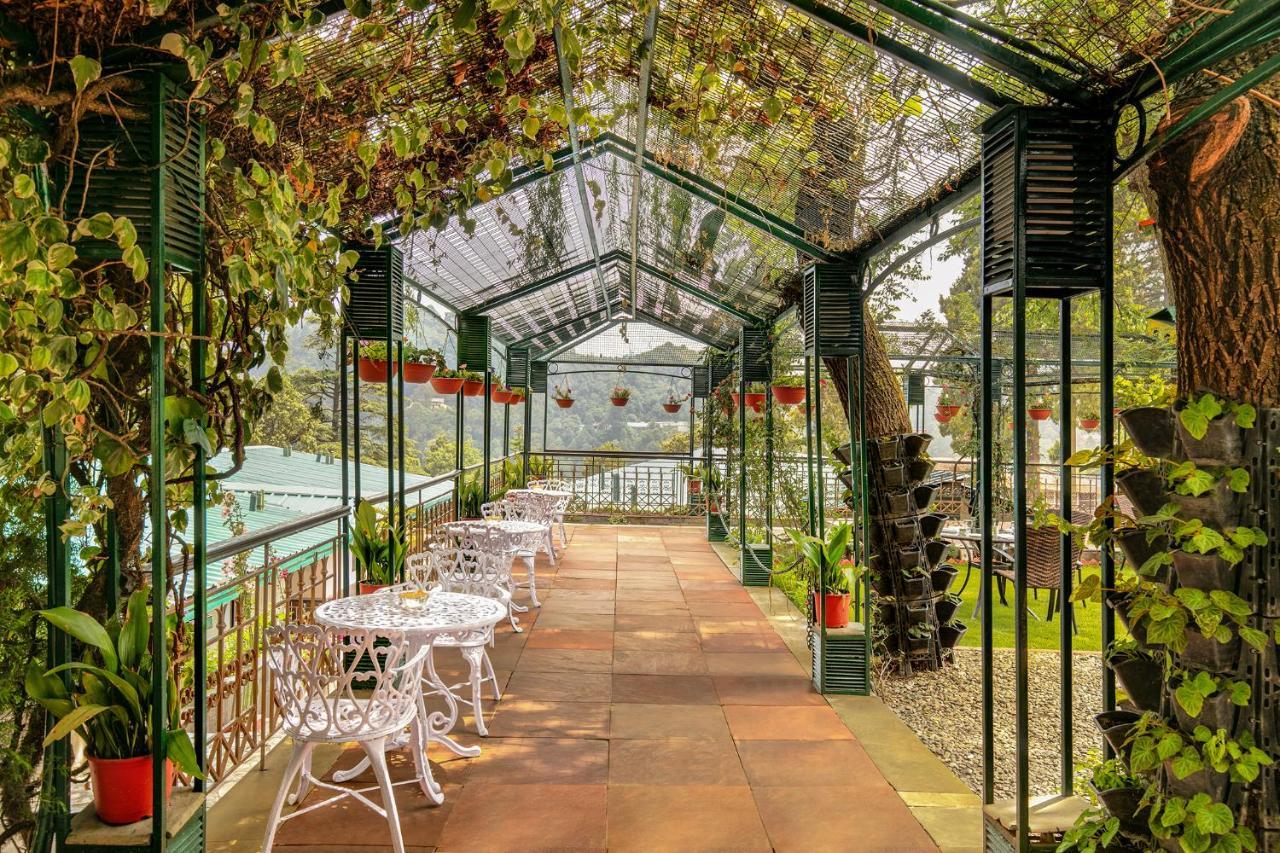 Shervani Hilltop Resort Nainital Zewnętrze zdjęcie