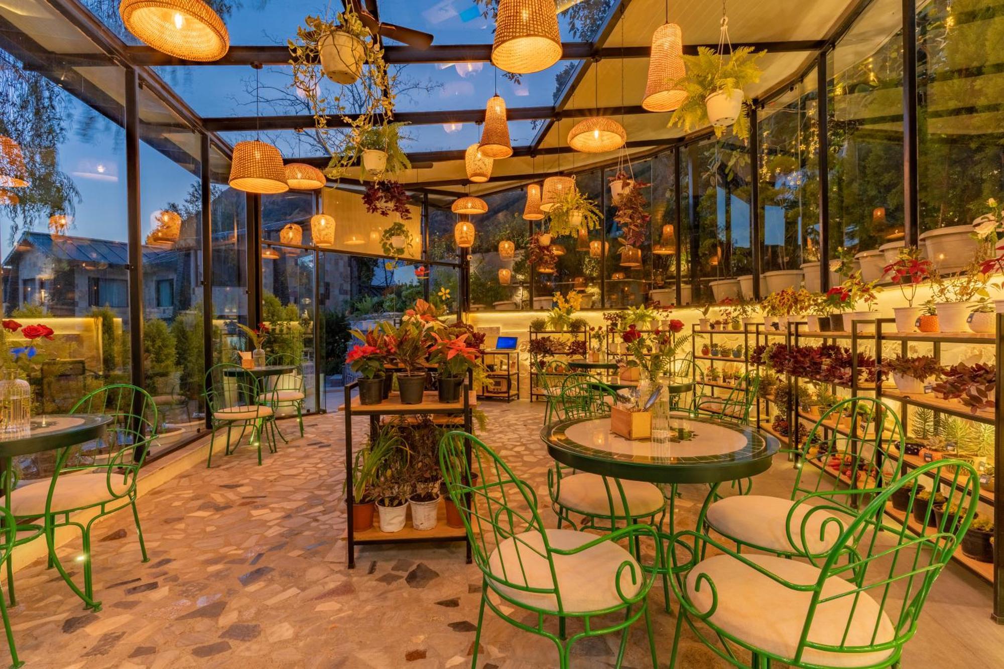 Shervani Hilltop Resort Nainital Zewnętrze zdjęcie