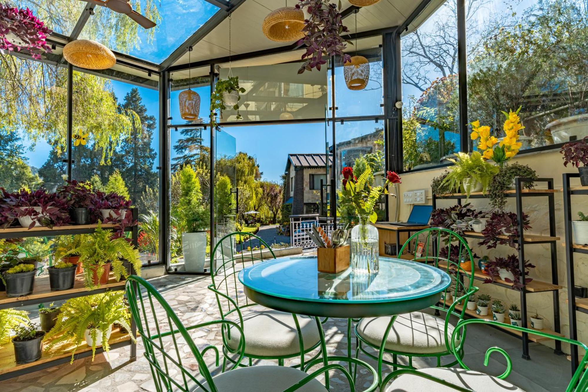 Shervani Hilltop Resort Nainital Zewnętrze zdjęcie