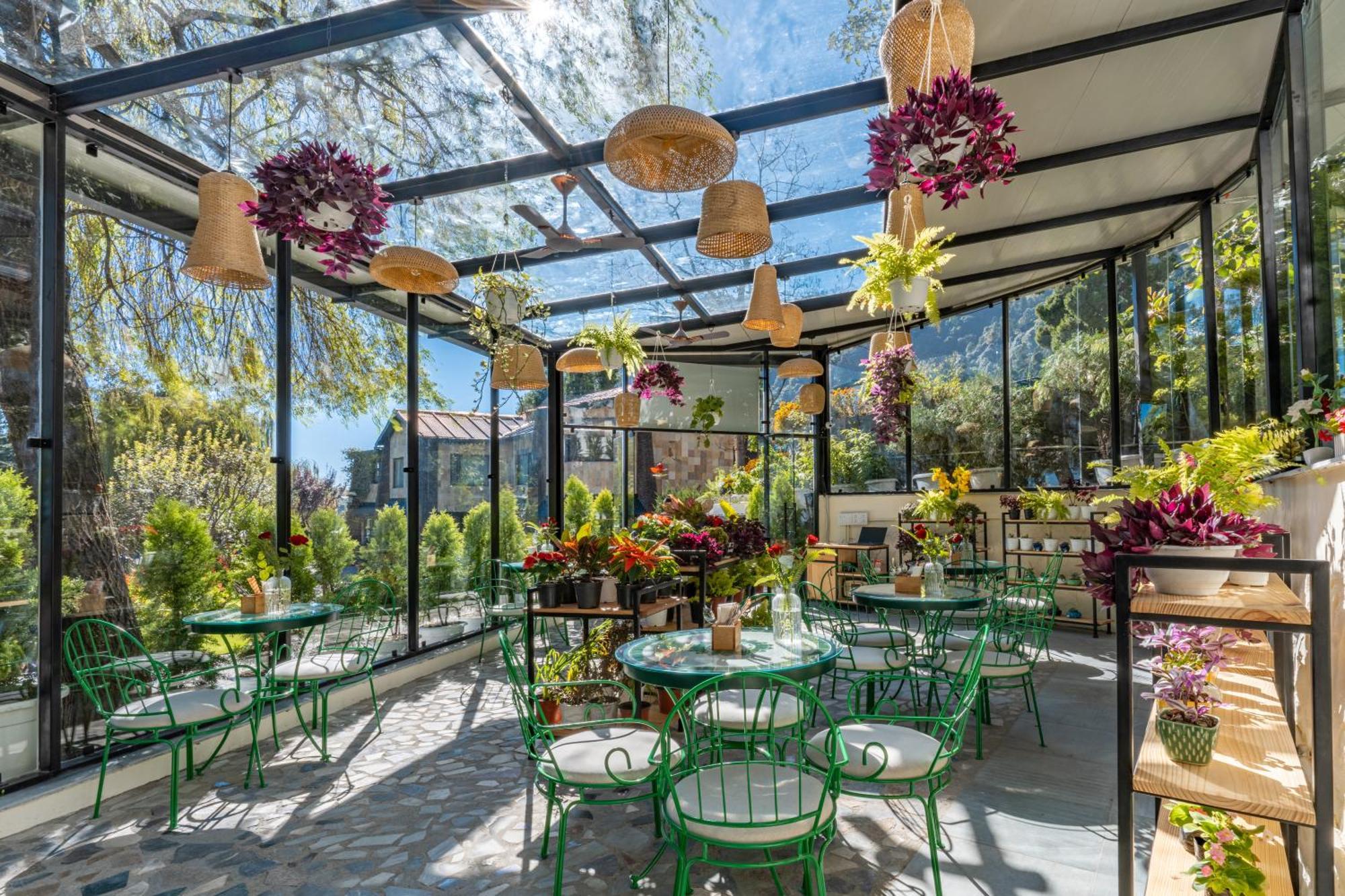 Shervani Hilltop Resort Nainital Zewnętrze zdjęcie