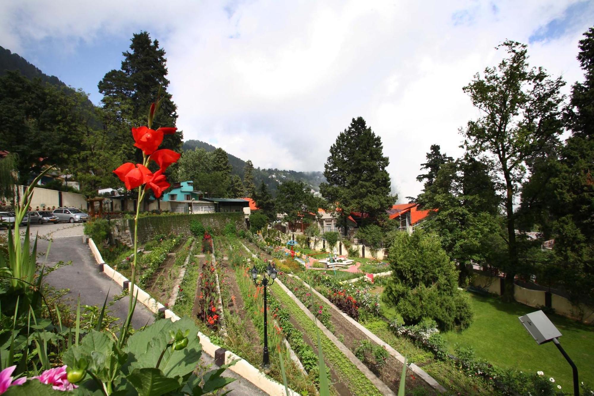 Shervani Hilltop Resort Nainital Zewnętrze zdjęcie